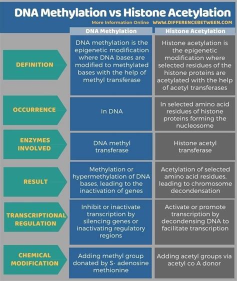 DNA Methylation vs Histone Acetylation - Tabular Form | Biomedical ...