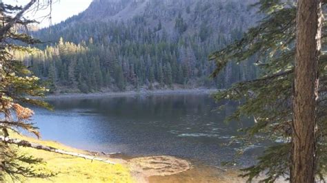 9 Hiking Trails in Flathead National Forest