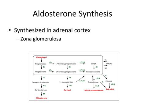 PPT - Aldosteronism PowerPoint Presentation, free download - ID:4760704