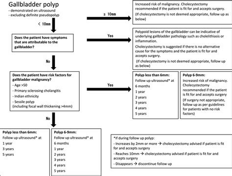 Gallbladder polyps definition, causes, symptoms, diagnosis, treatment ...