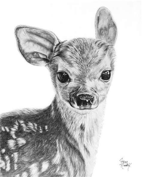 Creature Creations — Studio Sixtyone | Baby animal drawings, Animal ...