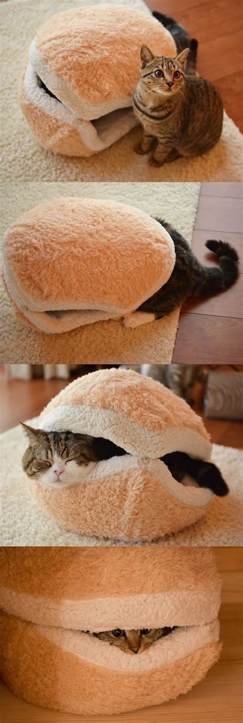 This fuzzy cat bun. | 23 Insanely Clever Products Every Cat Owner Will ...