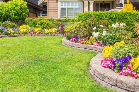 12 Simple Front Yard Landscaping Ideas | MYMOVE