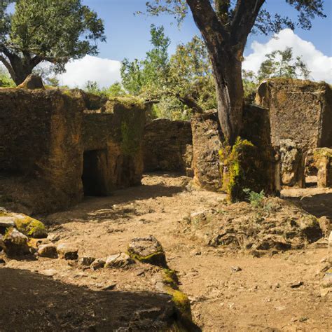 Melka Awash Archaeological Site, Oromia Region: Horror Story, History ...