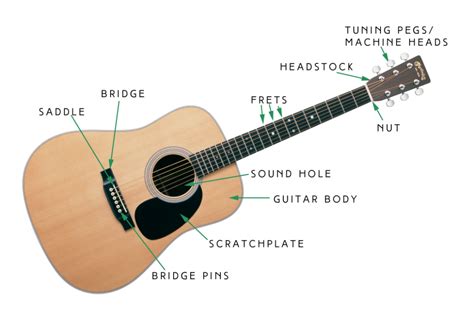 What are the parts of a guitar? - Fret Success - Guitar Tuition