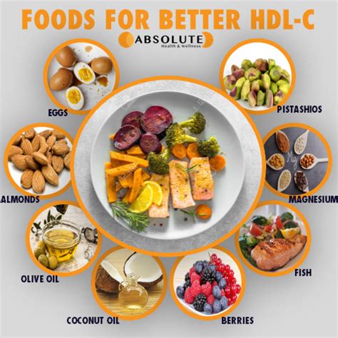 Ways to Increase HDL-C - Absolute Health & Wellness