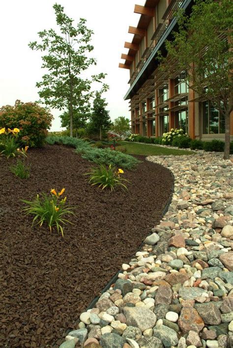 brown mulch landscaping ideas - Latosha Rau