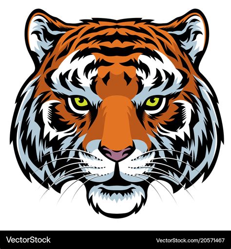 Tiger head Royalty Free Vector Image - VectorStock