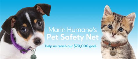 Marin Humane - Animals for Adoption and Marin Animal Services