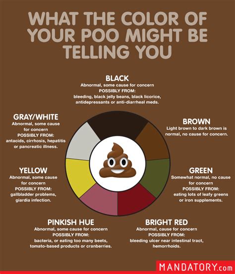 The Poop Scoop: What The Color Of Your Stool Might Be Telling You