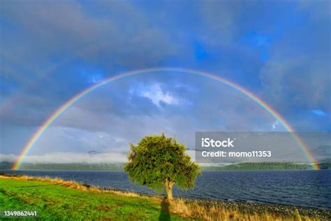 Pelangi Ganda Di Atas Pohon Te Anau Selandia Baru Foto Stok - Unduh ...