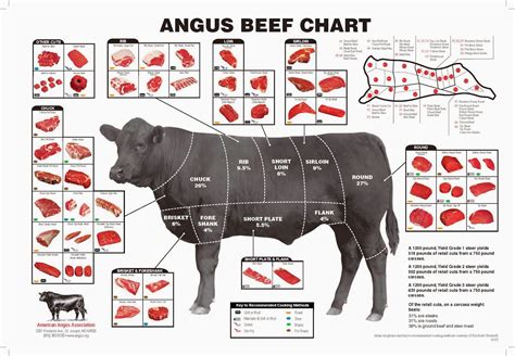 Angus Beef Chart Meat Cuts Diagram