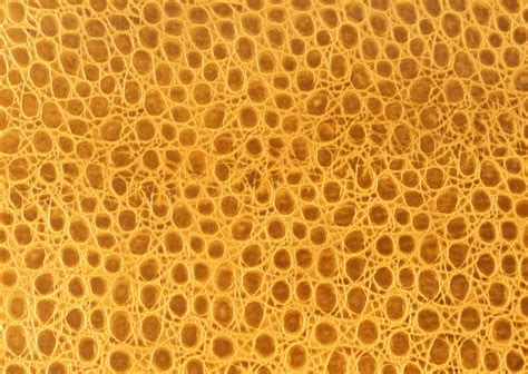 Free photo: Beehive texture - Abstract, Sugar, Pollen - Free Download ...