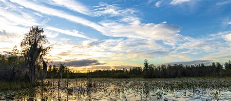 Okefenokee Swamp Wilderness Southeast