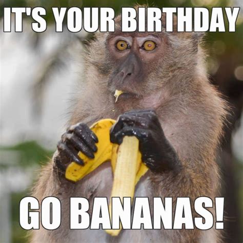 26 Funny Happy Birthday Memes To Make Them Smile on Their Special Day