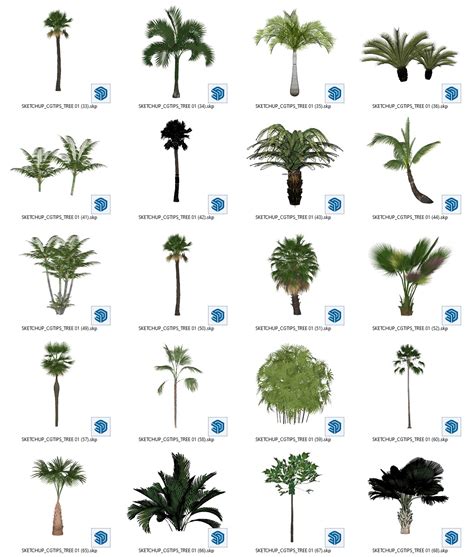 7555. Free Sketchup Trees Model Download