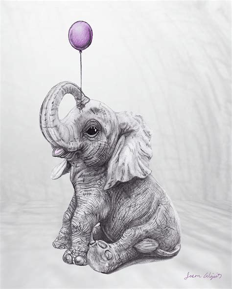 Elephant Sketches | tunersread.com