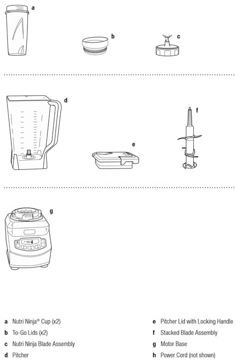 Ninja Blender Parts Pitcher | Bruin Blog