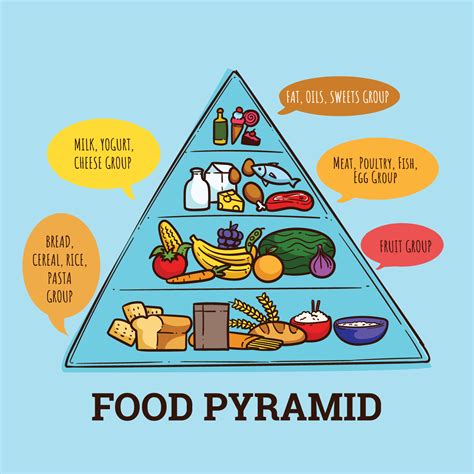 Food Pyramid Vector Art, Icons, and Graphics for Free Download