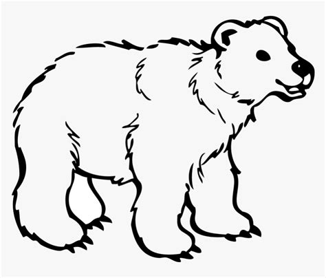 Polar Bear American Black Bear Brown Bear Drawing - Bear Clipart Black ...