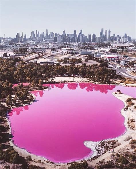 This lake that is near Melbourne turned pink! 🌺 Do you want to go to ...