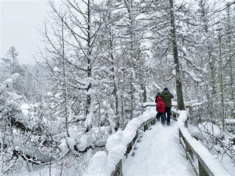 2024 Winter Activities in Michigan: Ski Resorts, Snow Tubing, Ice ...