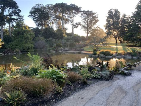 Botanical Garden, Golden Gate Park : r/sanfrancisco