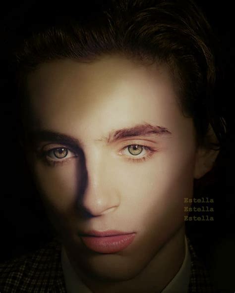 Pin on timothee chalamet | Timothee chalamet