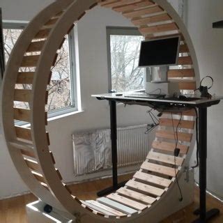 Hamster Wheel Standing Desk : 10 Steps (with Pictures) - Instructables