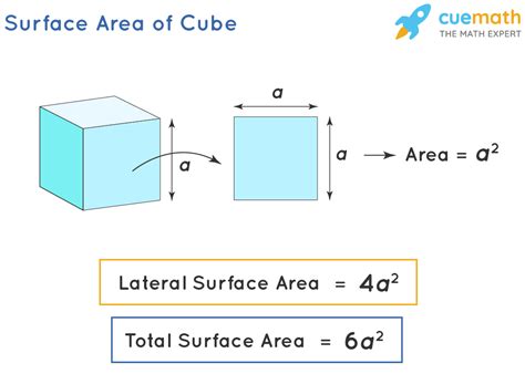 Cube - Shape, Definition, Net, Examples, Formulas