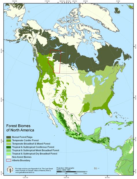 Forest Biomes of North America [2445 × 3195] : r/MapPorn