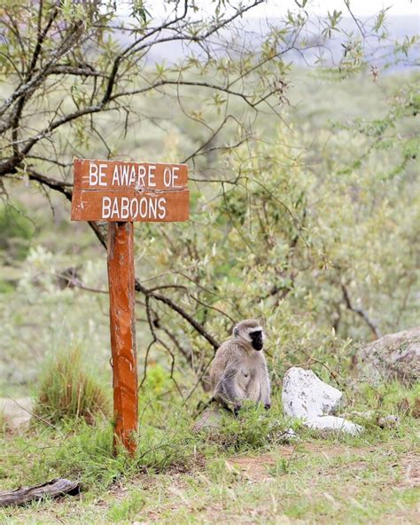 Kenya's Hell's Gate National Park: Travel Guide & Trip Report