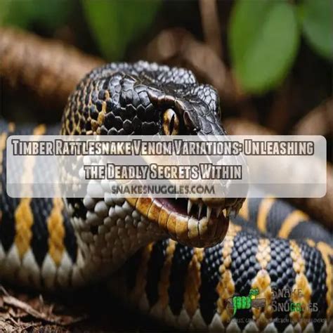 Timber Rattlesnake Venom Variations: Unleashing the Deadly Secrets Within