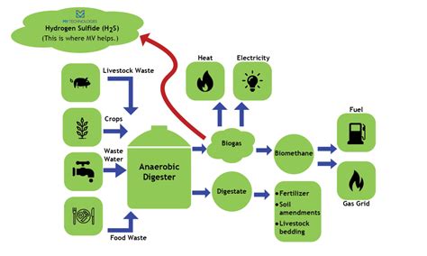 The Environmental & Economic Benefits of Anaerobic Digestion | MV ...