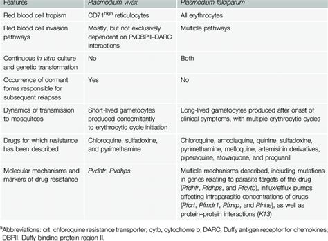 Key Differences between Plasmodium vivax and Plasmodium falciparum a ...