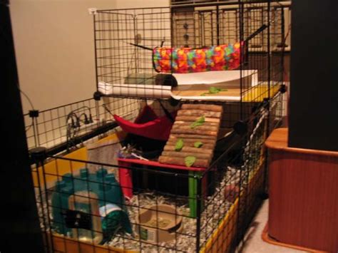 Cavy cage | Guinea Pig Cages