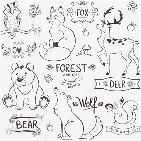 Cute Forest Animals Drawing