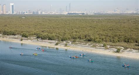 Abu Dhabi Activities | Eastern Mangroves Hotel & Spa