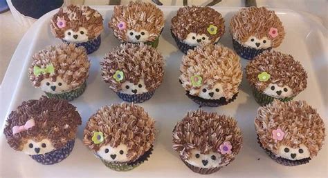 Hedgehog Cupcakes – Chocolate Gluten Free Cupcakes | Mayhem in the ...