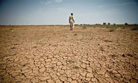 Drought: What next after El Niño? La Niña?