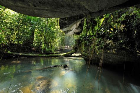 Giant Caves of Mulu