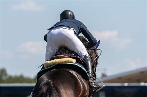 A Horse Jumping Themed Photograph, a Horse Jumping Over an Obstacle ...