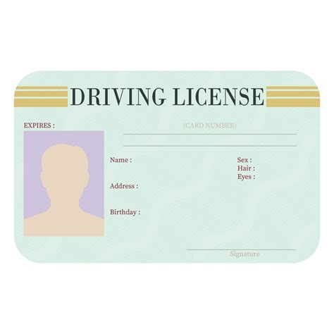 Blank Drivers License Template