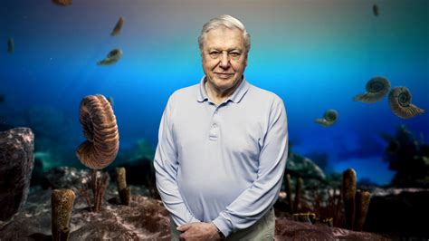 David Attenborough’s First Life – VideoNeat