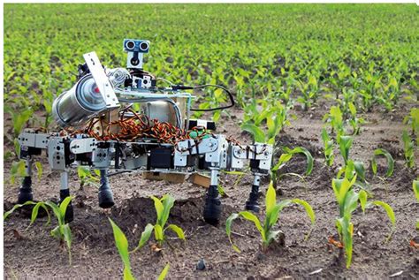 Agriculture Robots: How to Revolutionizing Agriculture