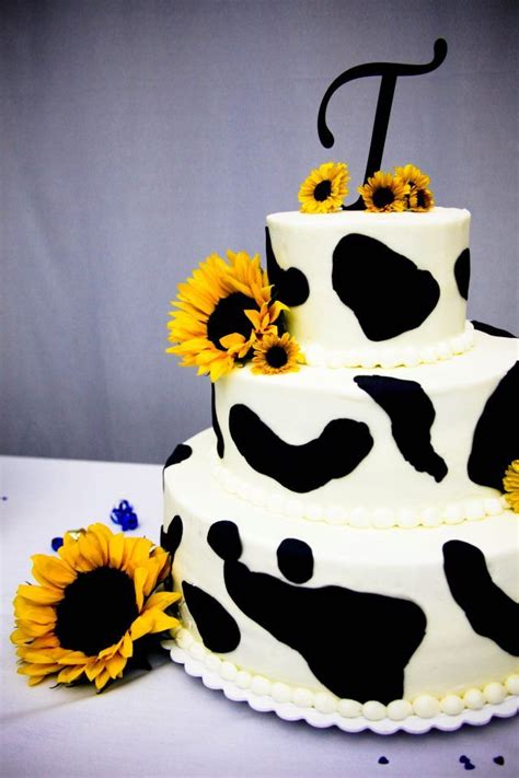 Pin by Beth Tetzner on Oooooo | Cow birthday cake, Cow print cakes, Cow ...