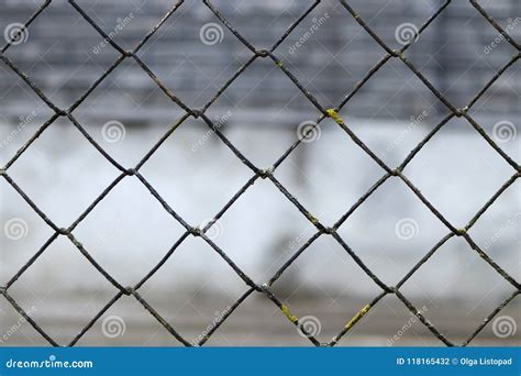 Blurred Abstract Landscape Grid Fence. Metal Grid Texture Background ...