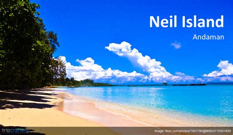 Neil Island Beach is a favorite amongst travelers who wish to unwind in ...