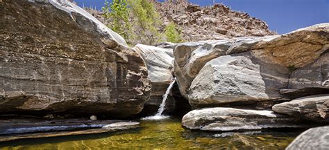 Tours of Sabino Canyon