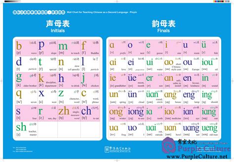 Wall Chart for Teaching Chinese as a Second Language: Pinyinby Shi Ji